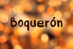 Boquerón: A Handwritten Brush Font for Branding