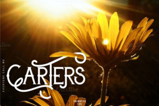 Carters: A Modern Classic Typeface for Web Design