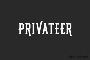 Privateer: The Serif Display Font That Commands Attention